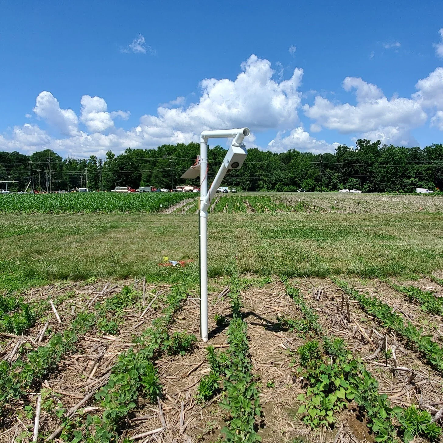 Agriculture
